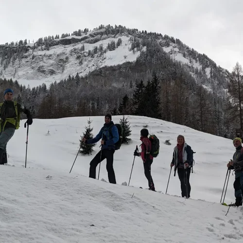 Schartenalm/Wolfgangsee